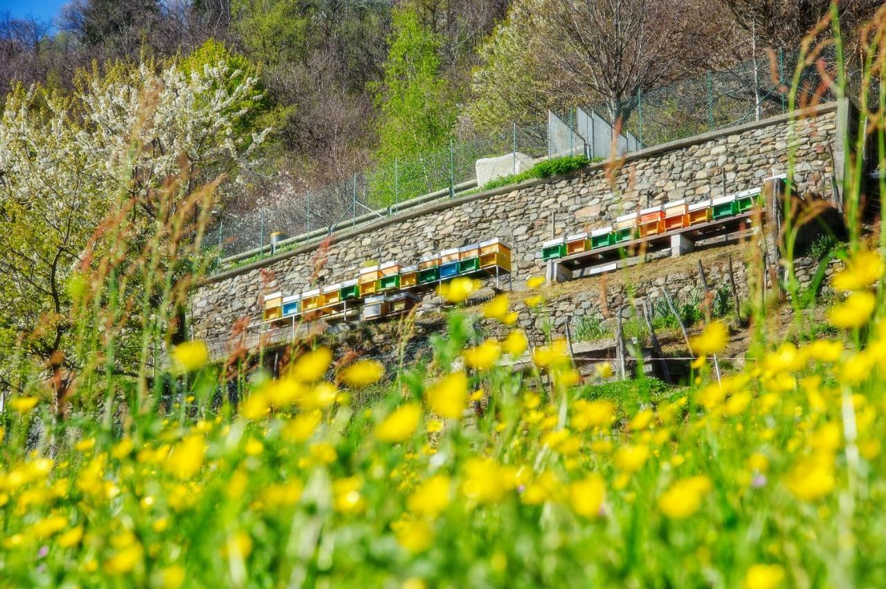 Agriturismo Luloc Villa Buglio in Monte Exterior photo